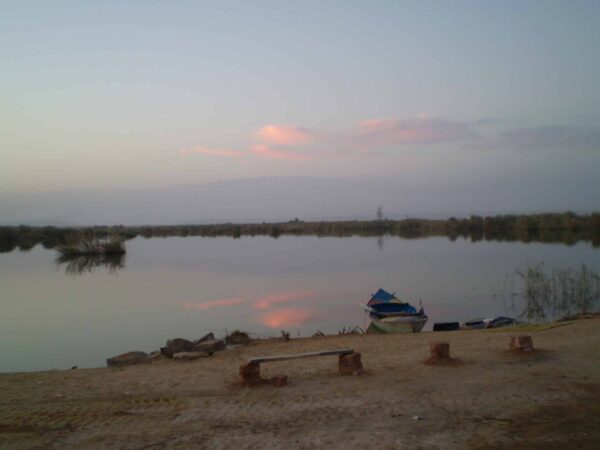 Dakhla oase